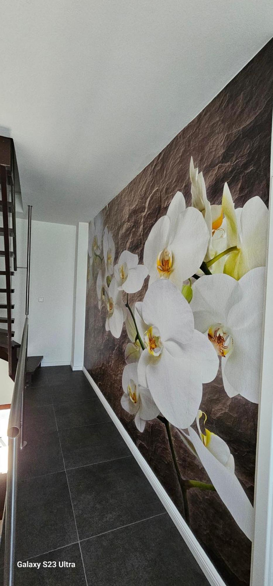 Hoya Gaestehaus Orchidee מראה חיצוני תמונה